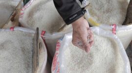 Ilustrasi Harga Beras | Foto: Ist.