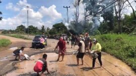 Warga tebar lele di Jalan Rusak di Lampung Timur | Foto: Ist.
