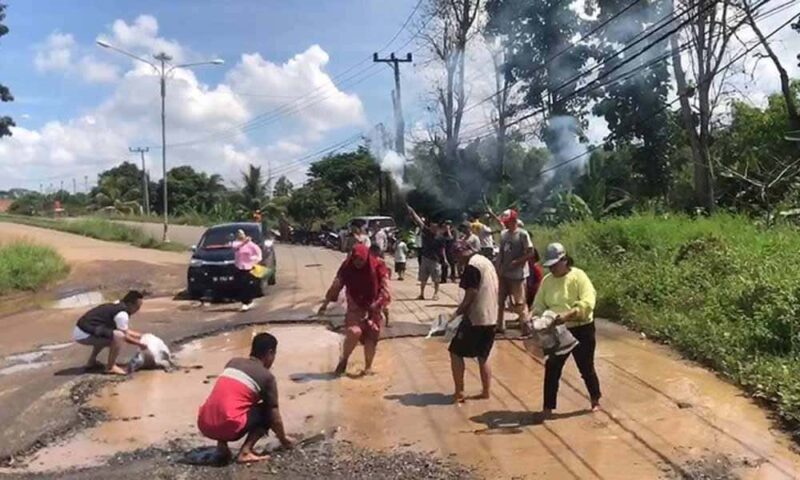 Warga tebar lele di Jalan Rusak di Lampung Timur | Foto: Ist.