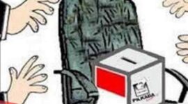 Ilustrasi calon tunggal pada Pilkada | Foto: Ist.