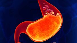 Ilustrasi | Foto: Ist.