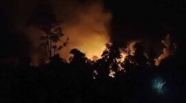 Kebakaran di TNWK | Foto: Ist.