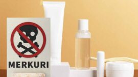 Ilustrasi | Foto: Ist.