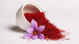 Ilustrasi manfaat Bunga Saffron | Foto: Ist.