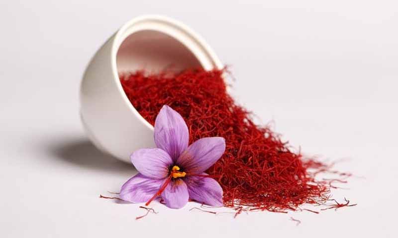 Ilustrasi manfaat Bunga Saffron | Foto: Ist.