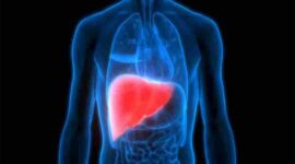 Ilustrasi | Foto: Ist.