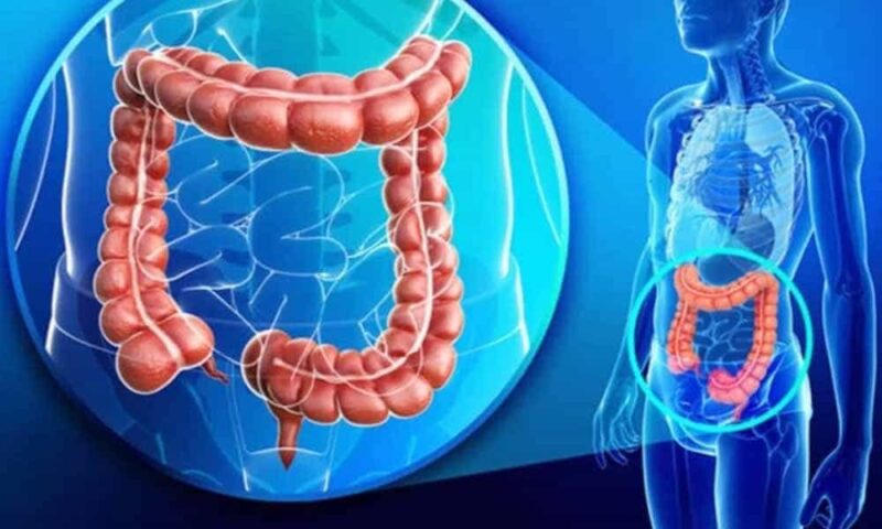 Ilustrasi | Foto: Ist.