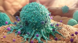 Ilustrasi | Foto: Ist.