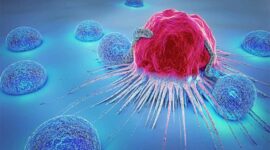 Ilustrasi | Foto: Ist.