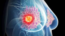 Ilustrasi | Foto: Ist.