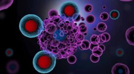 Ilustrasi | Foto: Ist.