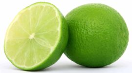 Ilustrasi | Foto: Ist.