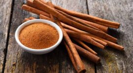 Ilustrasi | Foto: Ist.