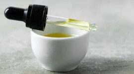 Ilustrasi | Foto: Ist.