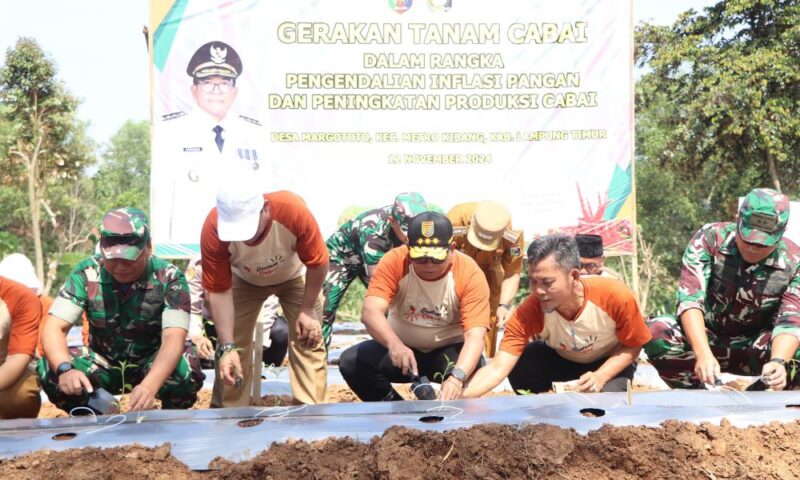 Gerakan Tanam Cabai di Lampung Timur | Foto: Ist.