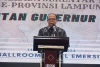 Pj Gubernur Lampung Samsudin | Foto: Ist.