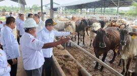 Pj Gubernur Lampung Samsudin | Foto: Ist.