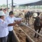 Pj Gubernur Lampung Samsudin | Foto: Ist.
