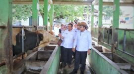 Pj Gubernur Lampung Samsudin | Foto: Ist.