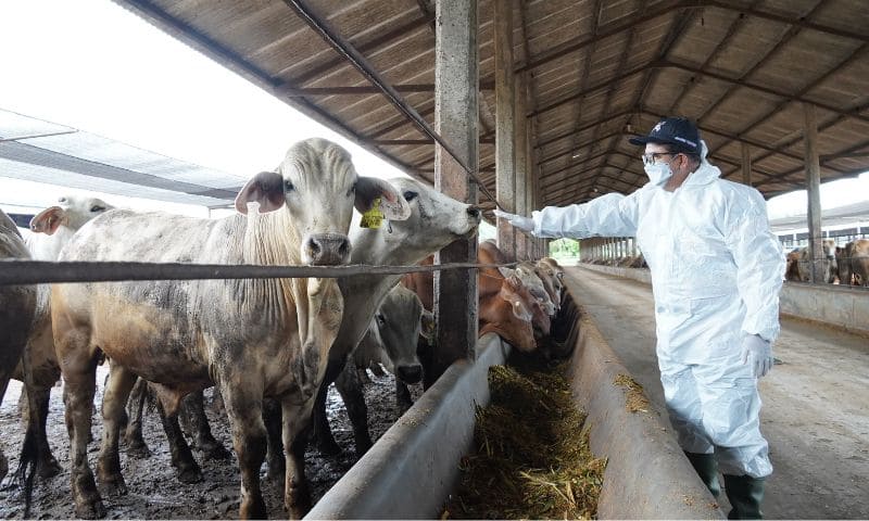 Pj Gubernur Lampung Samsudin Tinjau Vaksinasi Massal PMK Hewan Ternak di Lampung Tengah | Foto: Ist.