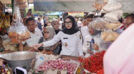 Wakil Gubernur Lampung, Jihan Nurlela melakukan peninjauan terkait  Ketersediaan bahan pangan dan  Harga Bahan Pokok menjelang Bulan Suci Ramadan | Foto: Ist.