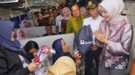 Wakil Gubernur Lampung, Jihan Nurlela | Foto: Ist.