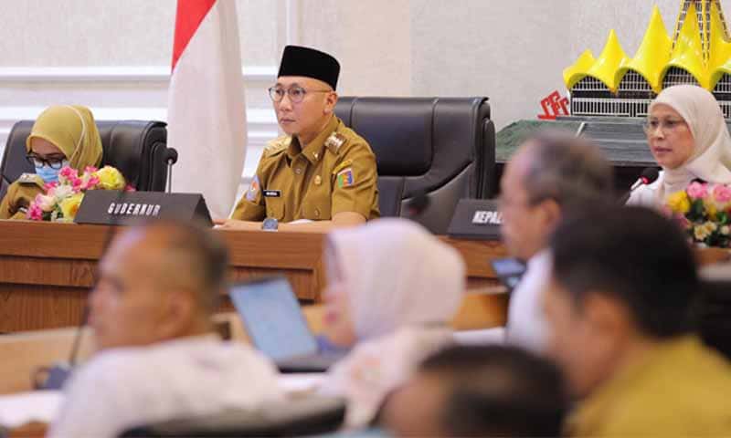 Gubernur Lampung, Rahmat Mirzani Djausal | Foto: Ist.