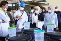 Wakil Gubernur Jihan Nurlela saat meninjau Gudang Pupuk Organik Cair (POC) di Microba Center Lampung | Foto: Ist.