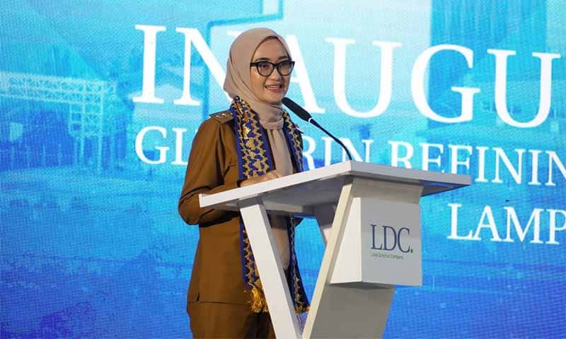 Wakil Gubernur Lampung, Jihan Nurlela | Foto: Ist.