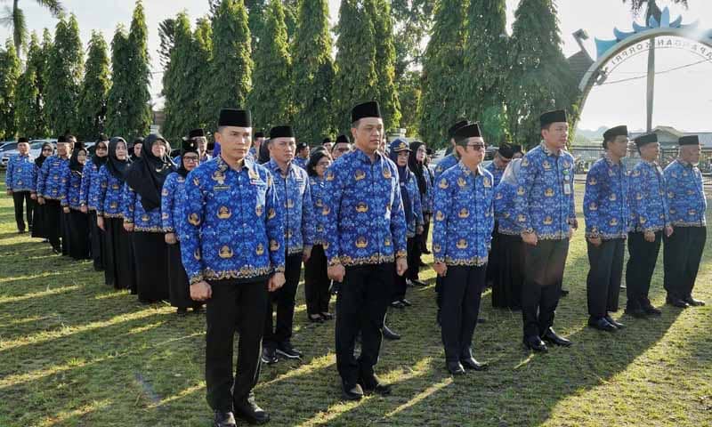ASN Pemprov Lampung | Foto: Ist.