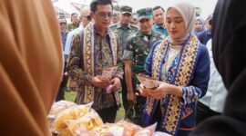 Wakil Gubernur Lampung, Jihan Nurlela | Foto: Ist.