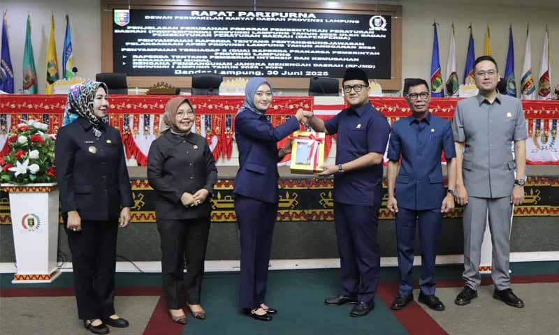 Wakil Gubernur Lampung, Jihan Nurlela | Foto: Ist.