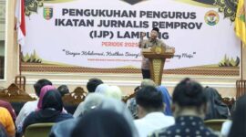 Gubernur Lampung Rahmat Mirzani Djausal | Foto: Ist.