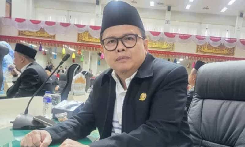 Anggota DPRD Provinsi Lampung Fauzi Heri | Foto: Ist.