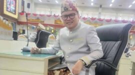 Anggota DPRD Provinsi Lampung Fauzi Heri | Foto: Ist.