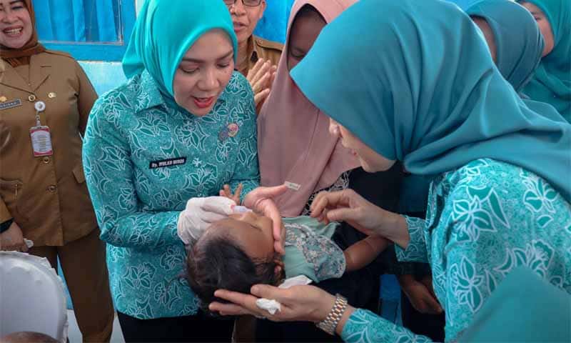 Ketua TP. PKK Provinsi Lampung, Purnama Wulan Sari | Foto: Ist.