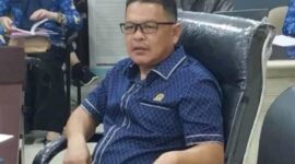 Anggota DPRD Provinsi Lampung Seh Ajeman | Foto: Ist.