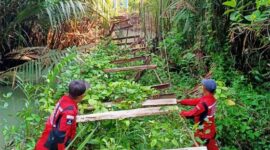 Vertical Rescue Indonesia (VRI) Regional Lampung membangun kembali Jembatan Gantung Tampang Muda di Kecamatan Pematang Sawa, Tanggamus | Foto: Ist.