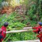 Vertical Rescue Indonesia (VRI) Regional Lampung membangun kembali Jembatan Gantung Tampang Muda di Kecamatan Pematang Sawa, Tanggamus | Foto: Ist.