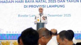 Wakil Gubernur Lampung, Jihan Nurlela | Foto: Ist.