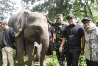 Ketua DPRD Provinsi Lampung, Ahmad Giri Akbar menghadiri rembuk bersama warga desa penyangga Taman Nasional Way Kambas | Foto: Ist.