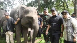Ketua DPRD Provinsi Lampung, Ahmad Giri Akbar menghadiri rembuk bersama warga desa penyangga Taman Nasional Way Kambas | Foto: Ist.