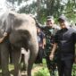 Ketua DPRD Provinsi Lampung, Ahmad Giri Akbar menghadiri rembuk bersama warga desa penyangga Taman Nasional Way Kambas | Foto: Ist.