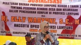 Sekretaris Komisi V DPRD Provinsi Lampung, Elly Wahyuni | Foto: Ist.