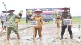 Kegiatan Tanam Padi bersama Forkopimda di Lampung Timur | Foto: Ist.