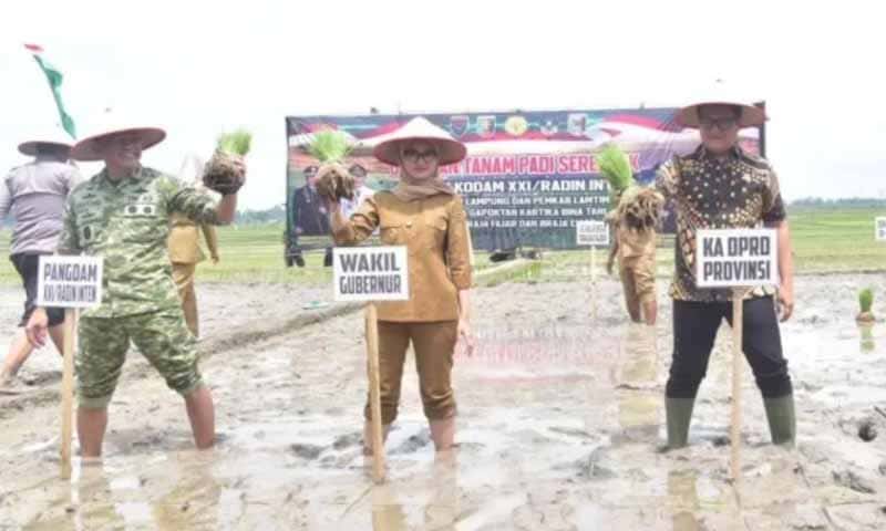 Kegiatan Tanam Padi bersama Forkopimda di Lampung Timur | Foto: Ist.
