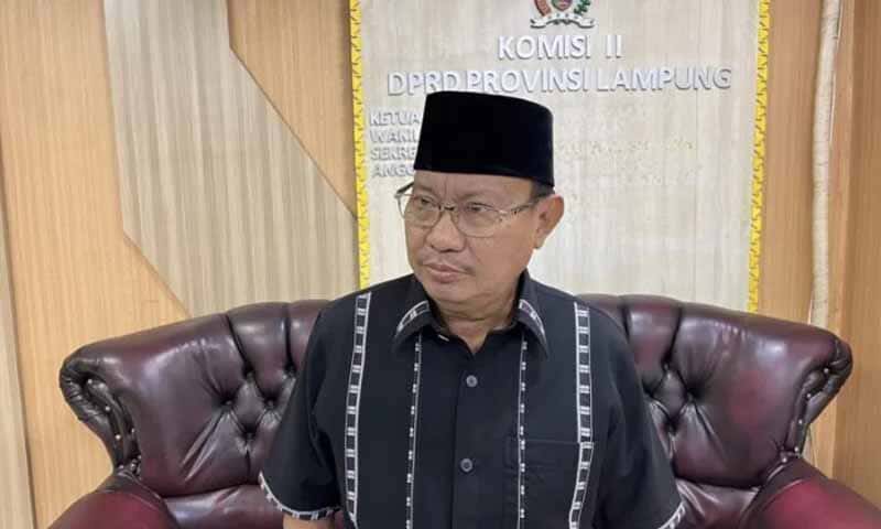 Anggota DPRD Lampung Mikdar Ilyas | Foto: Ist.