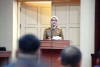 Wakil Gubernur Lampung Jihan Nurlela | Foto: Ist.
