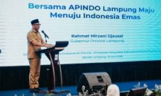 Gubernur Lampung Ajak APINDO Perkuat Kolaborasi Bangun Ekonomi Berbasis Desa